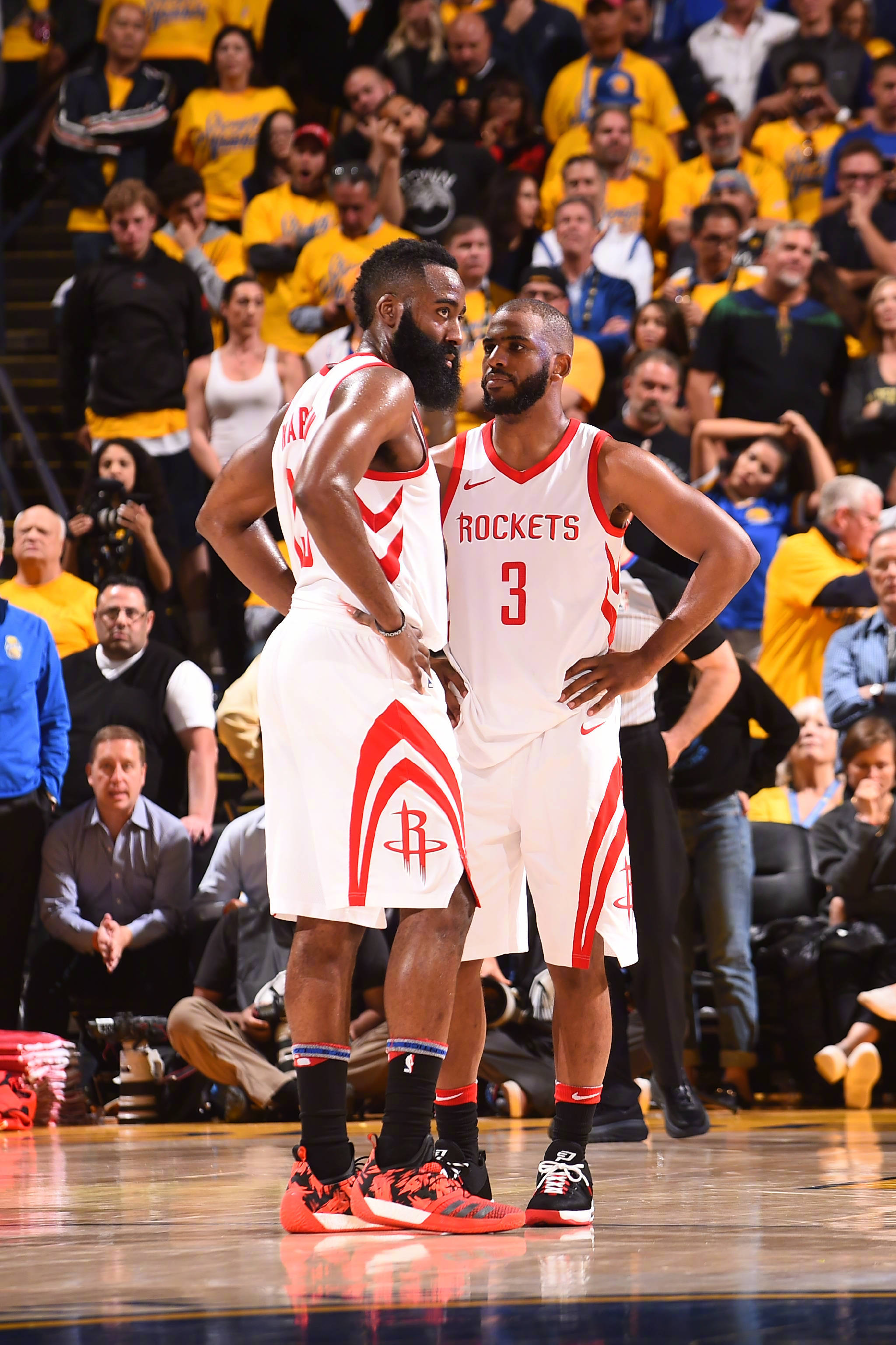 对于鹈鹕来 对于鹈鹕来