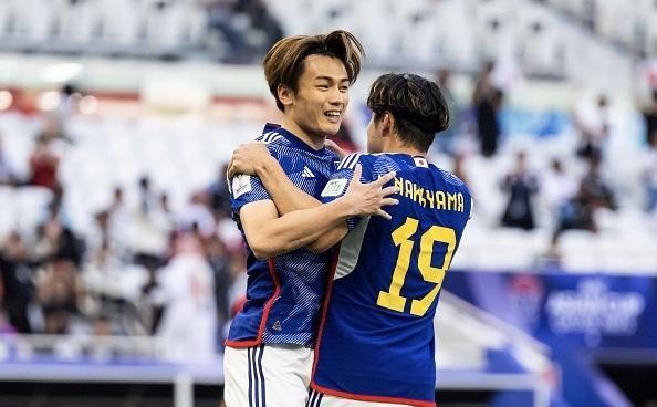 毛球的新锐 毛球的新锐